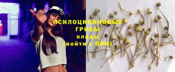 PSILOCYBIN Дмитров