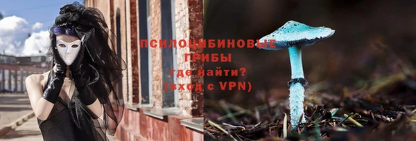 молекула духа Дмитриев