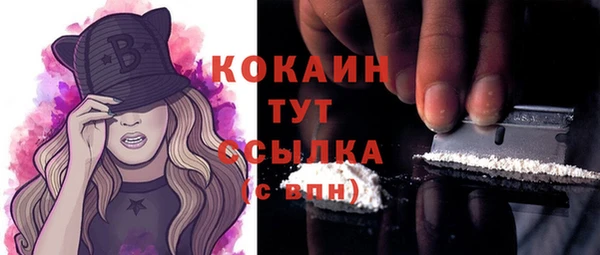 PSILOCYBIN Дмитров