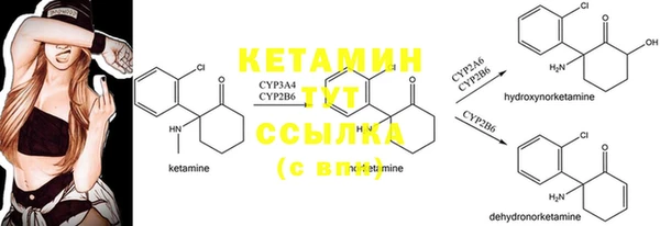 PSILOCYBIN Дмитров