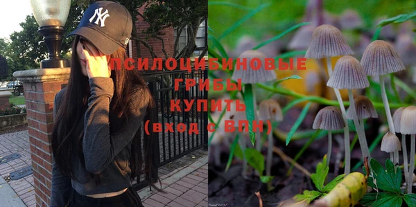 ALPHA PVP Дмитровск