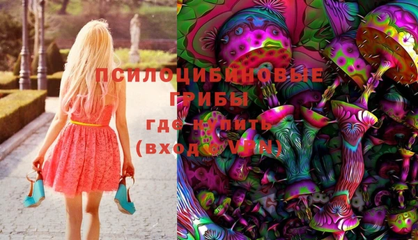 молекула духа Дмитриев