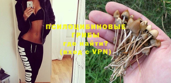 молекула духа Дмитриев