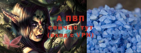 молекула духа Дмитриев