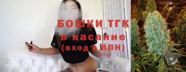 молекула духа Дмитриев