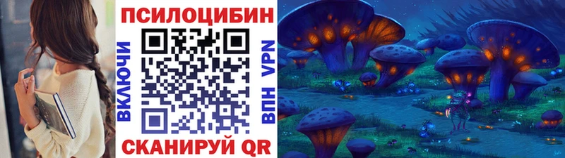 где можно купить   Серпухов  мега как зайти  Галлюциногенные грибы MAGIC MUSHROOMS 