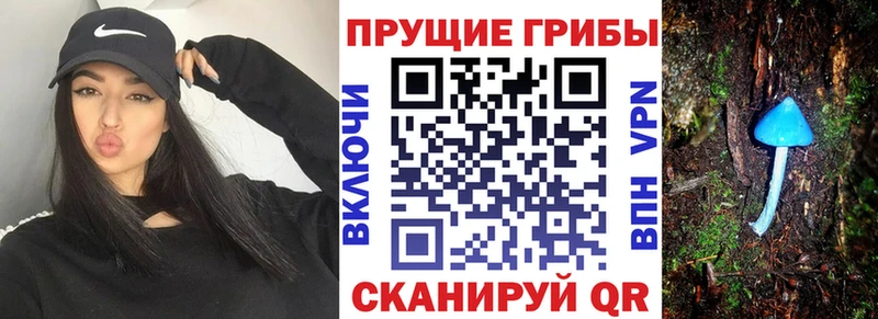 Псилоцибиновые грибы Cubensis Серпухов